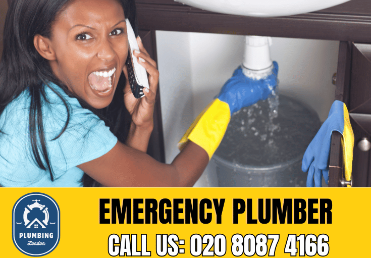 emergency plumber Woolwich